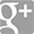 New York City Strippers Google+